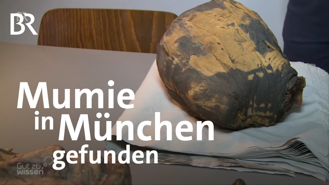 Mumien-Fund in München - Unterwegs mit einem Pathologen | Gut zu wissen | BR