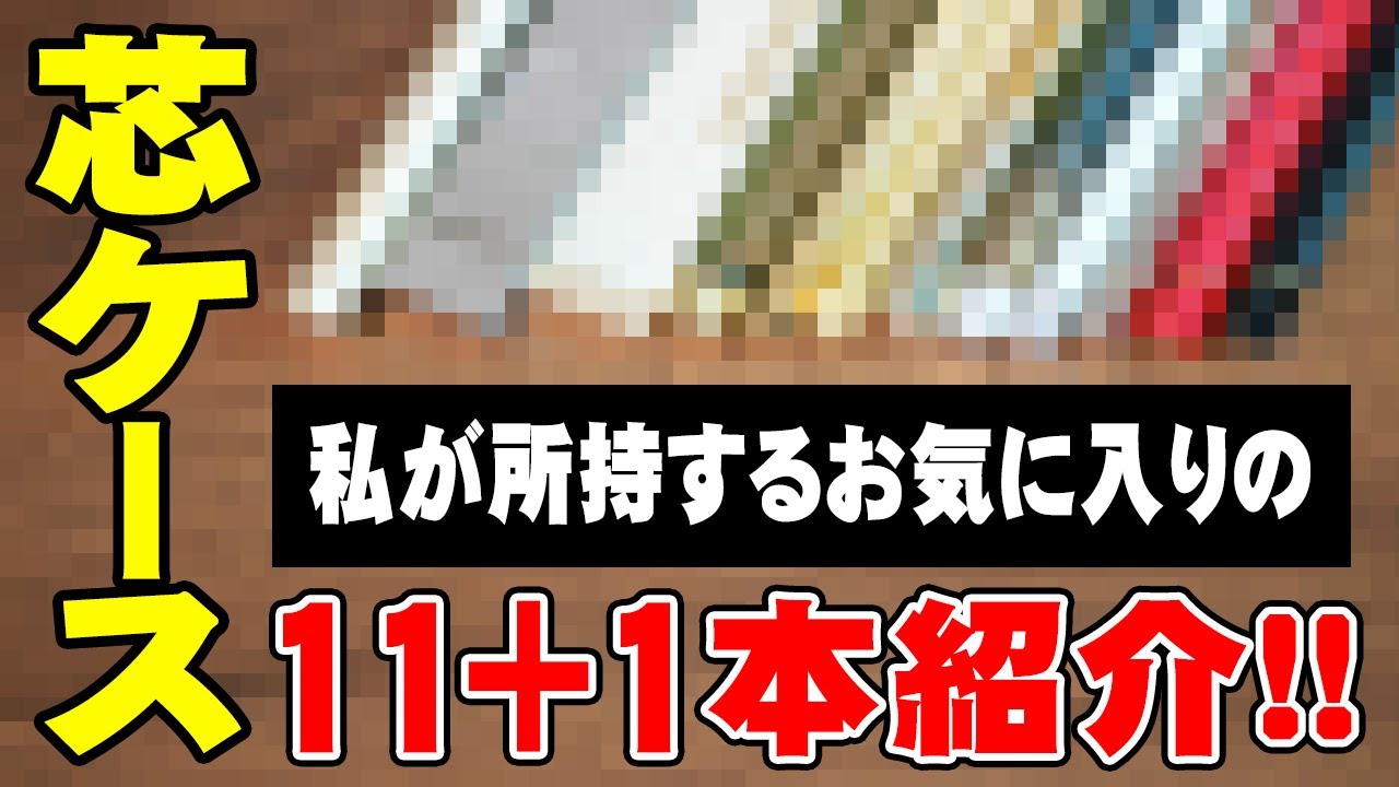 【芯ケース】私が愛用している12本を紹介＆レビュー