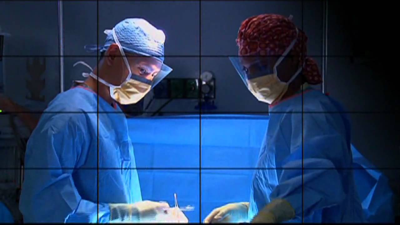 Experience Einstein at Elkins Park, Part 1