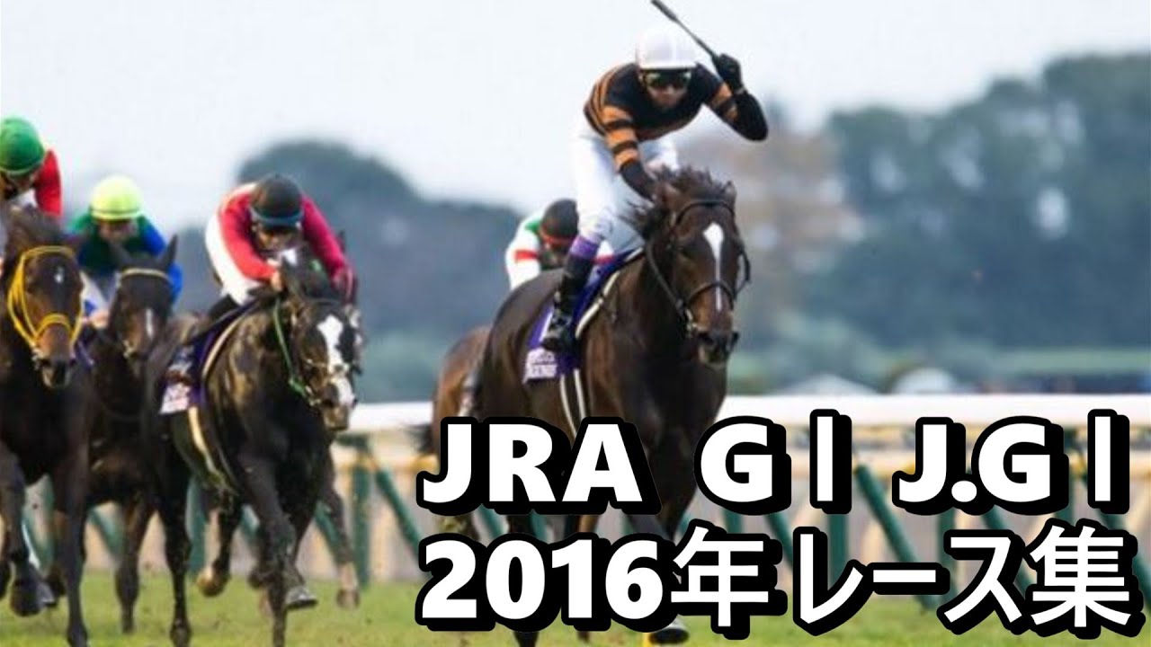 【データ付き】2016 JRA G１ J.G１ レース集