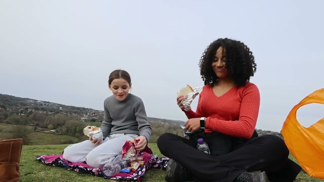 An interesting picnic |travel vlog|