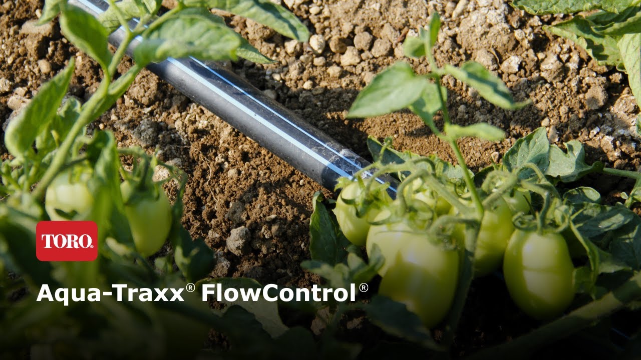 Aqua-Traxx® FlowControl® - La experiencia de la finca Saltalamacchia