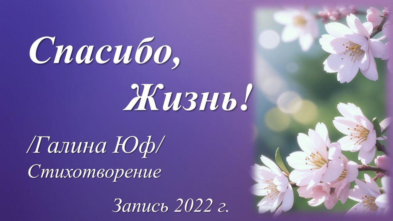 Спасибо, Жизнь /Галина Юф/
