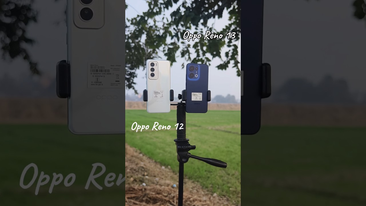 OPPO Reno 13 Vs OPPO Reno 12 🔥 || Camera Test 😎 #cameratest #opporeno13 #newphone
