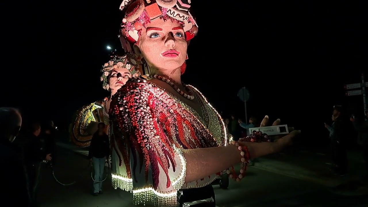20250927 Fruitcorso by Night 2025 totaal