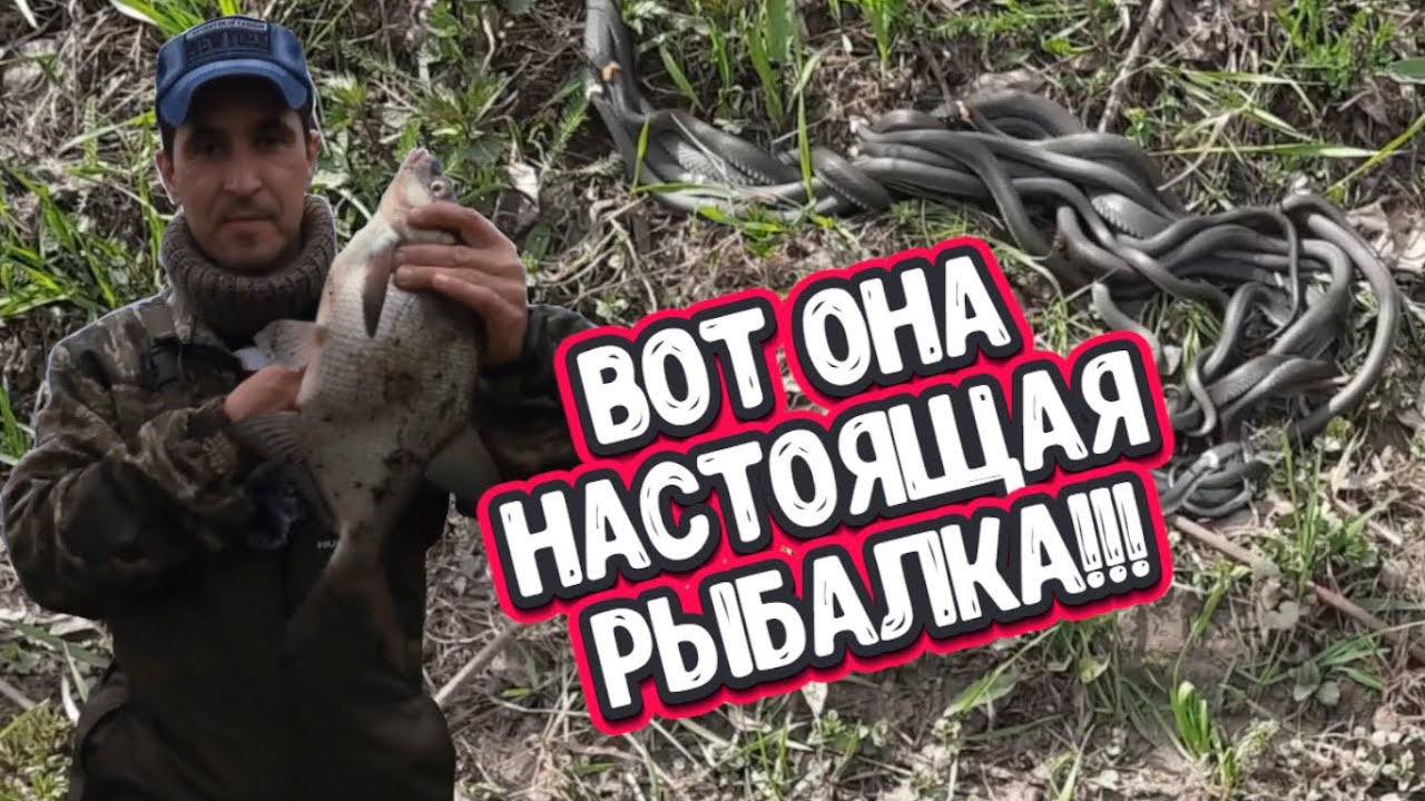 Не забываемая РЫБАЛКА на Московском море