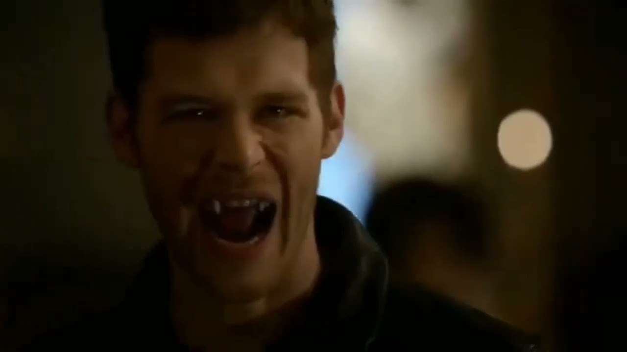 The vampire diaries klaus mikaelson Hail to the King