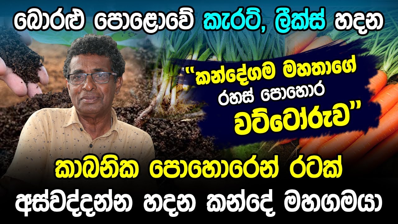 බොරළු පොළොවේ කැරට්,ලීක්ස් හදන කන්දේ මහගමයා රටට කියන කතාව | Thilak Kandegama | Hela Rahas
