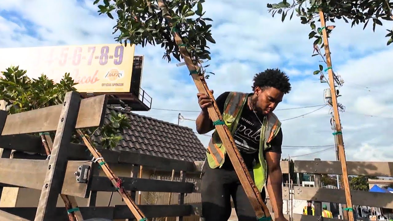 How New Trees are Transforming Koreatown