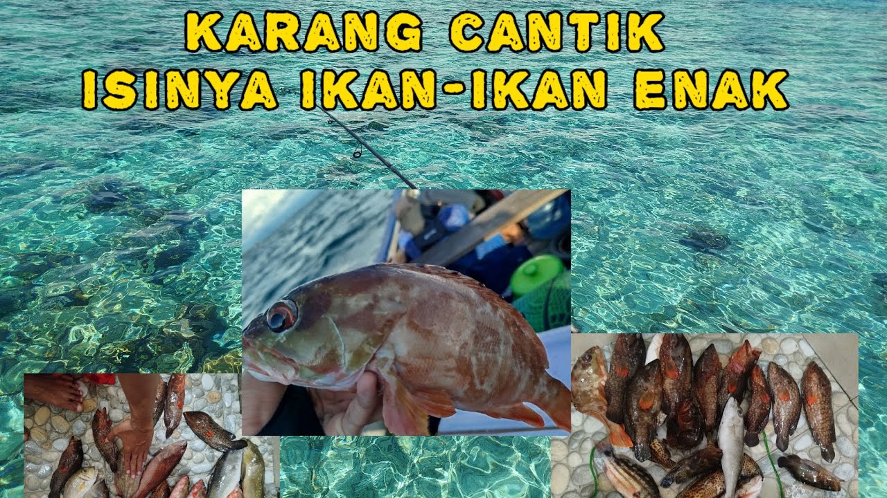 #2 UL Casting karang dangkal dekat pulau saranti | spot krapu sunu