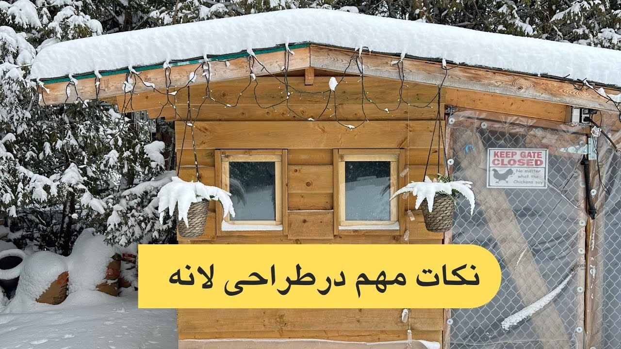 نکات مهم در طراحی لانه مرغ