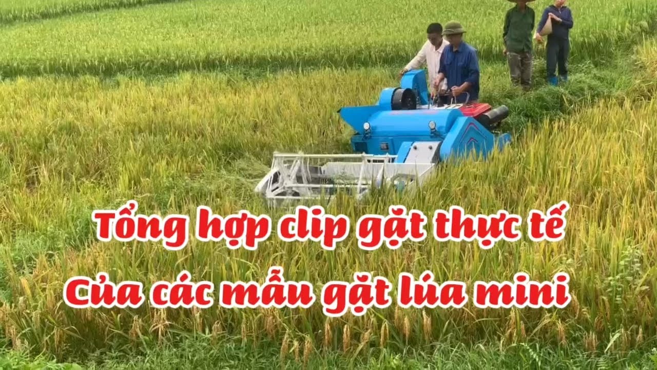 Tổng hợp clip gặt thực tế của các mẫu máy gặt lúa mini mới nhất 2025