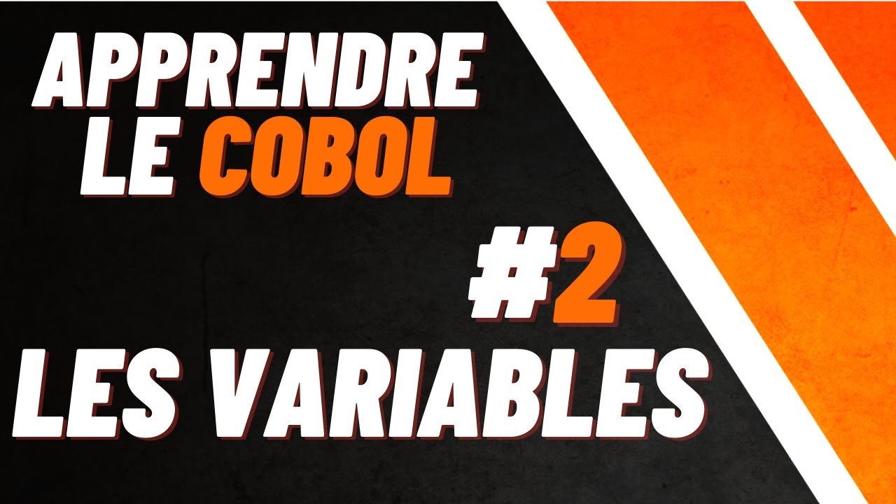 APPRENDRE LE COBOL - (6/13) LES VARIABLES #2