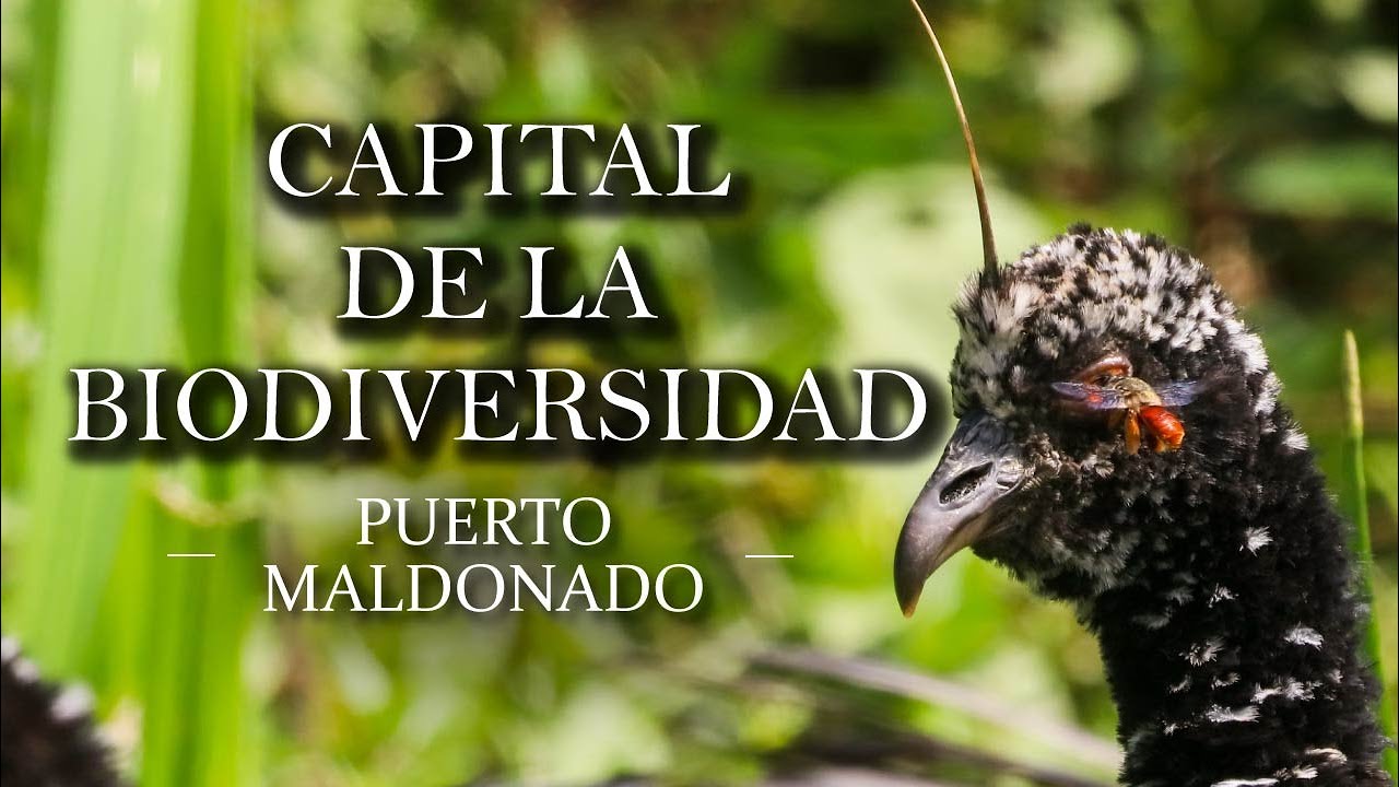 Capital de la biodiversidad 