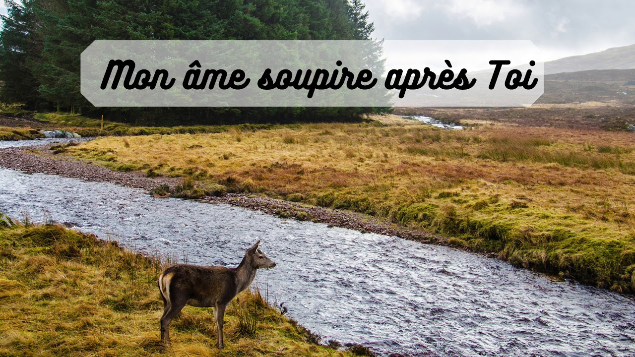 Mon âme soupire après Toi - As The Deer - French Cover