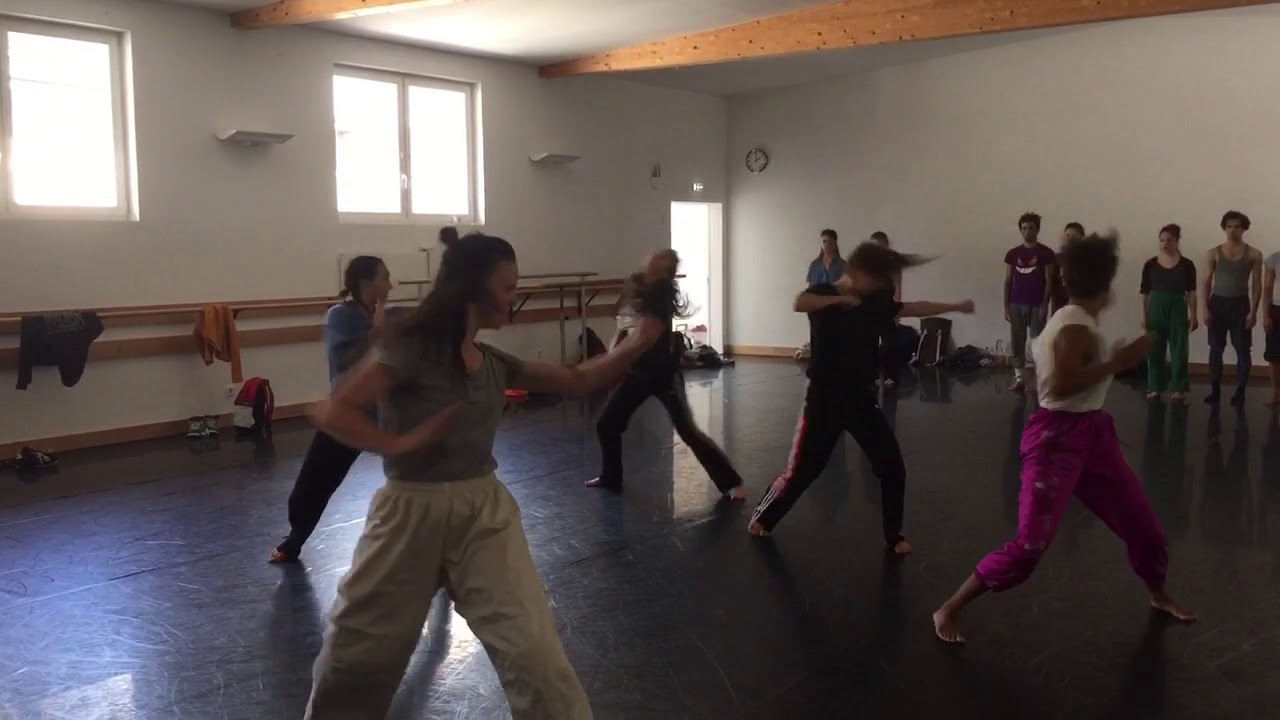 Anton Lachky-Puzzle Work on SEAD students Saltzburg