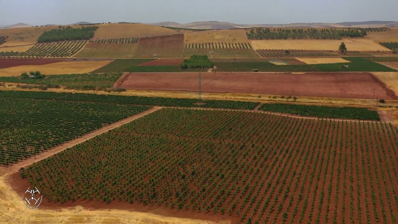VALDEPEÑAS (ENTRE VIÑAS/WINE LAND) - CIUDAD REAL