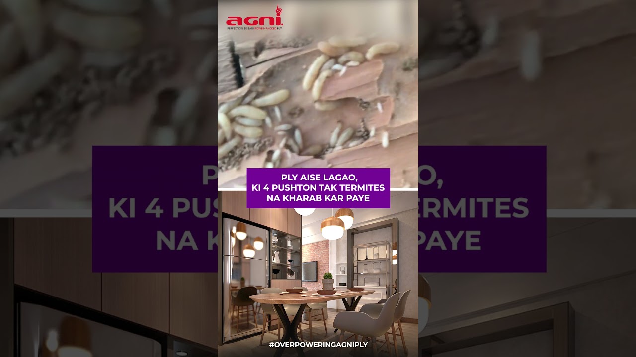 Termite proof Plywood I Top 10 Plywood Company in India | Best Plywood for Furniture |