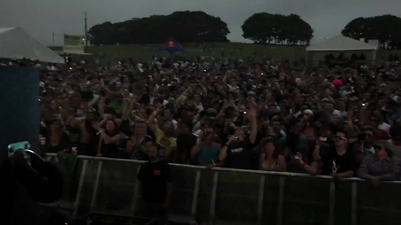 Cocoon In The Park - Visual Drugstore