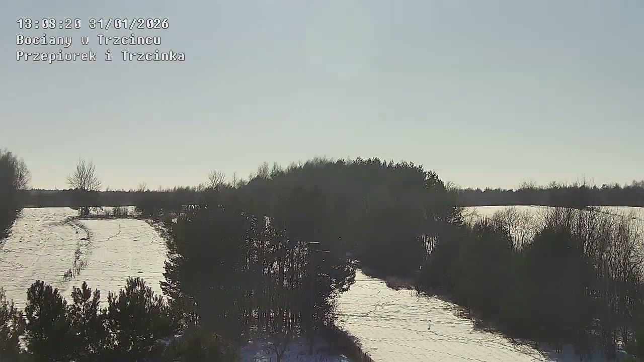 ⏳ Dzień z kamery w Trzcińcu - 31.01.2026