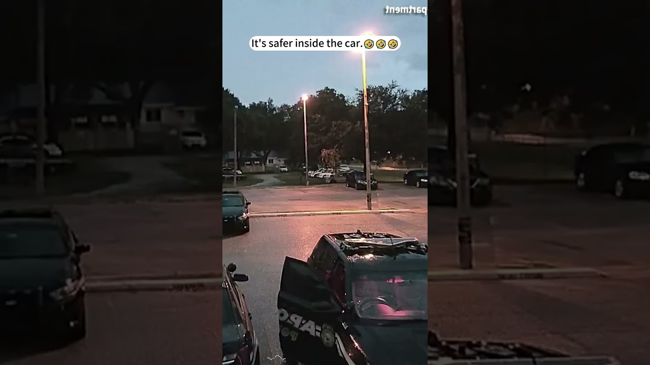 #lightning #lightningstrike #tree #satisfying #oddlysatisfyingvideo #fyp #foryou #weather #usa