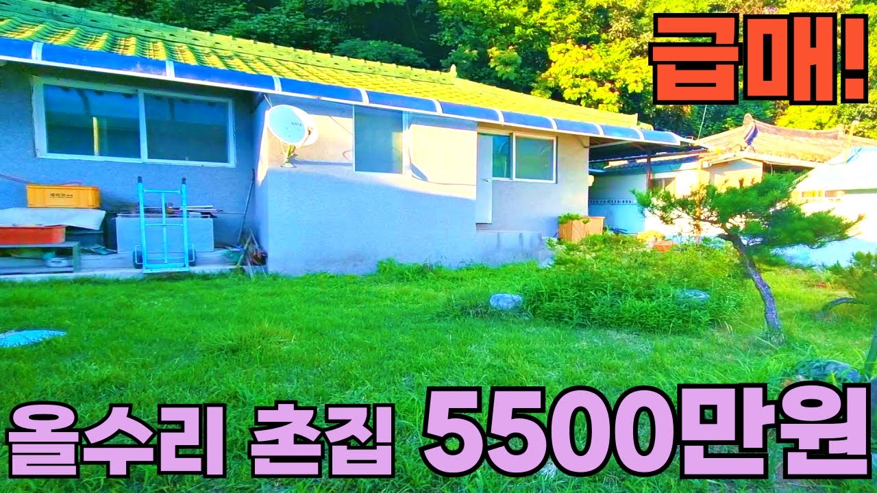 179) 급매! 5500만원! 읍 생활권! 군불방 올수리 촌집매매! 집기류 드리는 시골집매매 #급매 #촌집 #시골집 #세컨하우스 #소형주택 #주말농장 #5도2촌 #등산 #요양