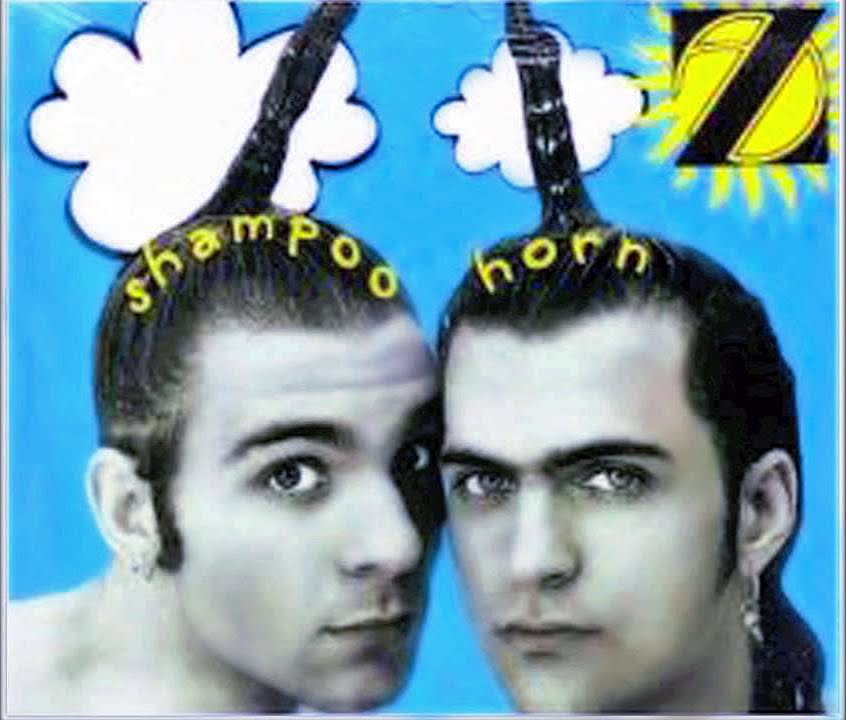 Dweezil/Ahmet Zappa Z Singer in the Woods - What Went Wrong in the Real World