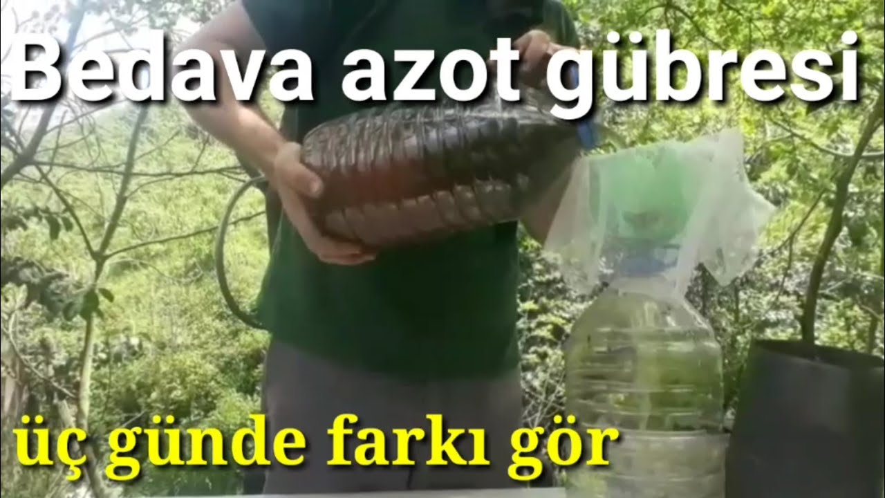 Isırgan Otu ile sıvı  gübre yapımı