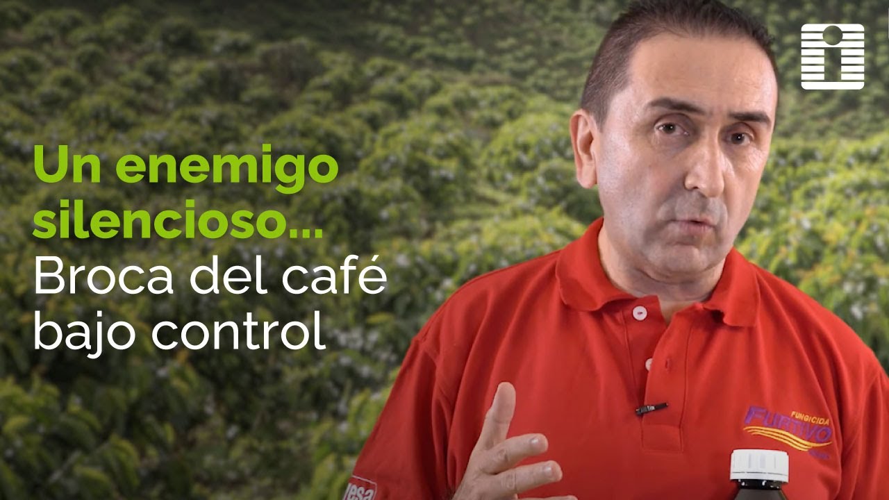 🌱 AGROINVESA | MANEJO INTEGRADO DE LA BROCA DEL CAFÉ ☕🐞 ¡SOLUCIONES EFECTIVAS!