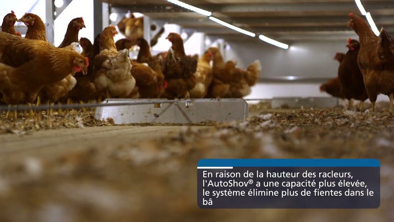 Système d'enlèvement de litière AutoShov®