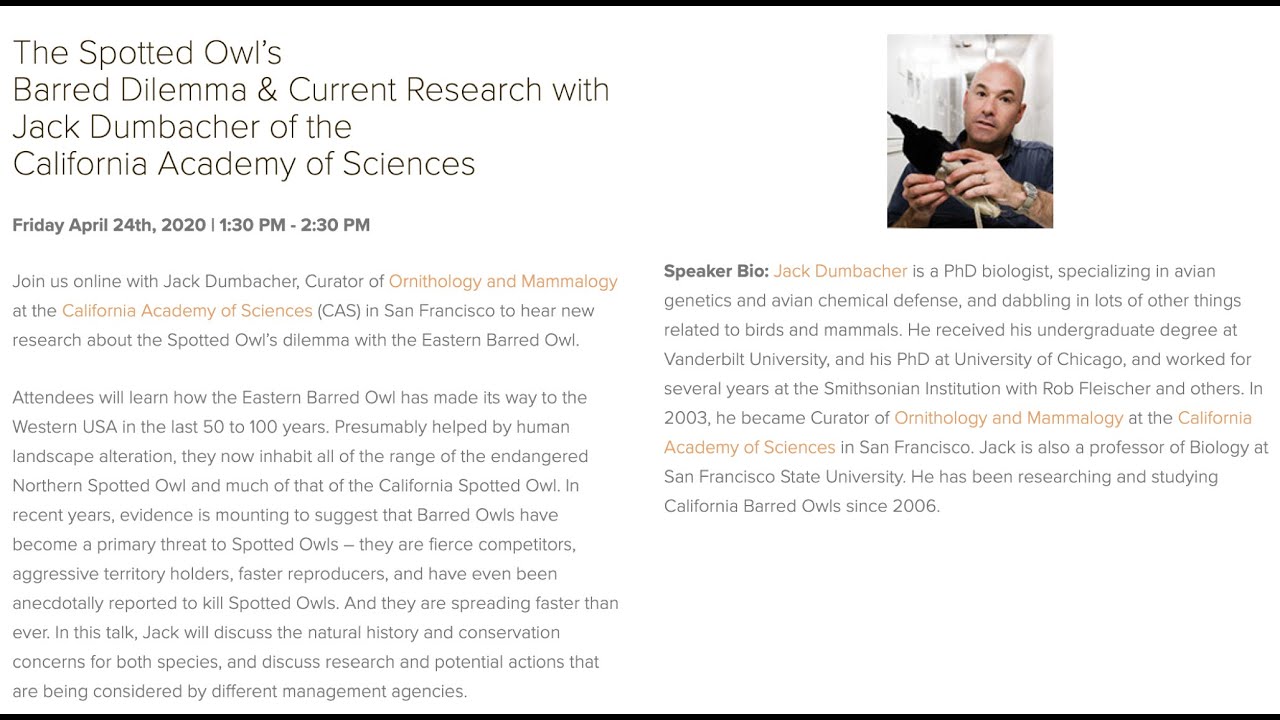 The Spotted Owl&rsquo;s Barred Dilemma with Jack Dumbacher of the California Academy of Sciences