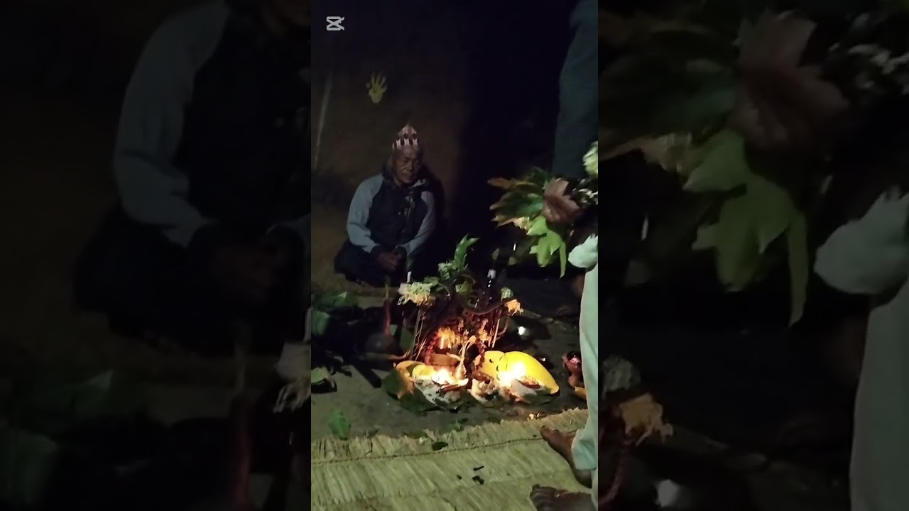 धामी बस्नु वा चिन्ता बस्नु भनौ एउटै कुरा हो।यो रुडिवादी परम्परागत कुरा होइन यो त बिस्वास हो ।