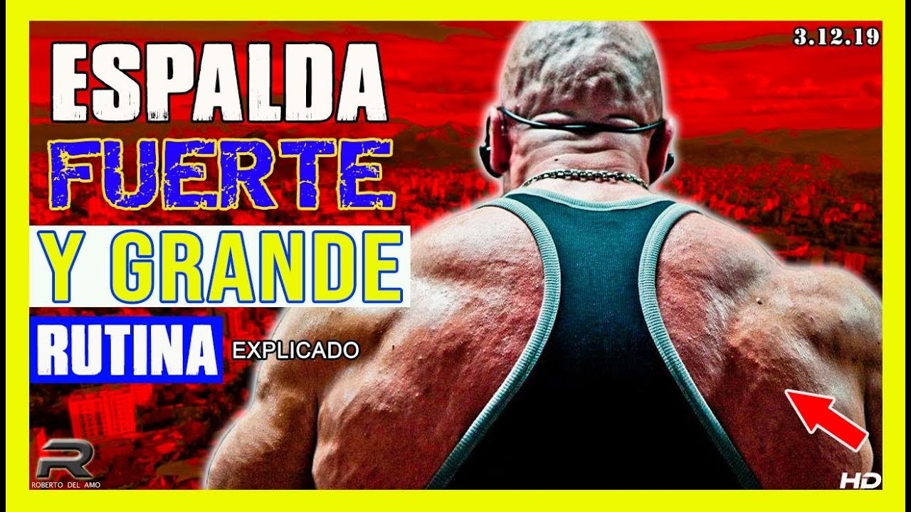RUTINA ESPALDA FUERTE Y GRANDE (  EJERCICIOS, SERIES & REPETICIONES )