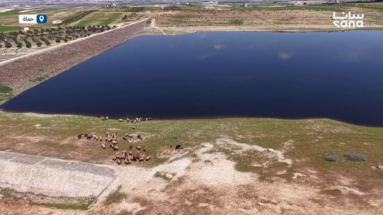 بعد جفاف امتد لسنوات... المياه تملأ سد الكافات بريف حماة الشرقي