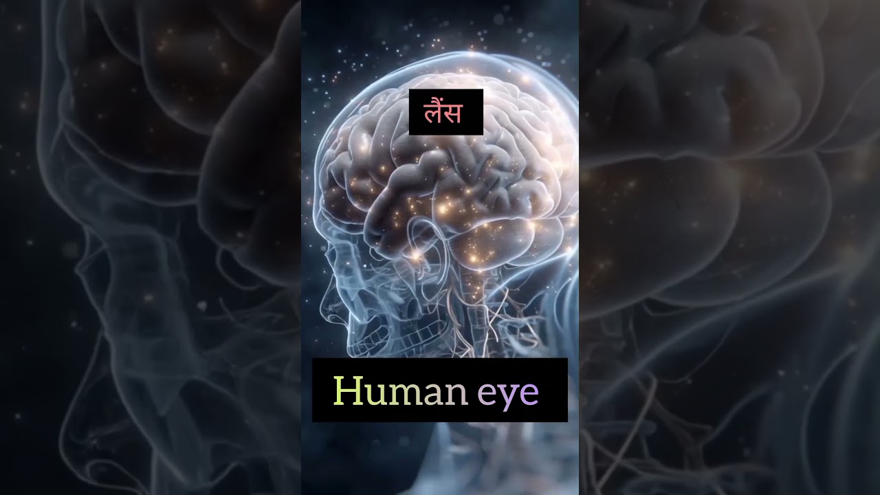 The Human Eye and its Parts 
