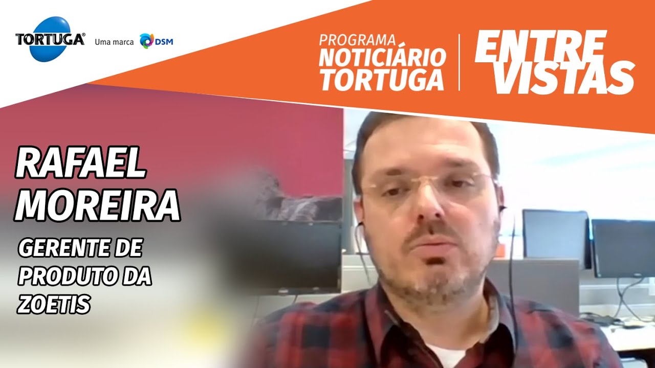 Como aumentar a taxa de prenhez na IATF | Noticiário Tortuga