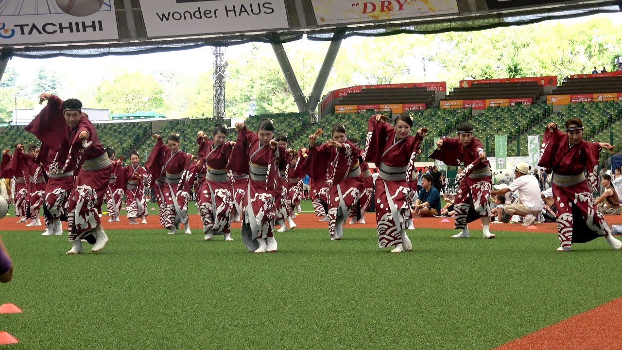 【4K】藍なり｜鳴動~あらたな時~（ライオンズよさこい2023〜流し演舞〜）