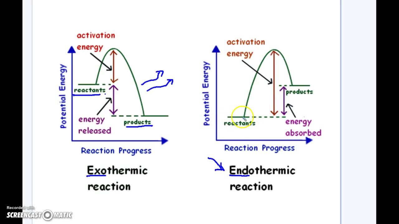 Endothermic Vs. Exothermic Reaction Graphs