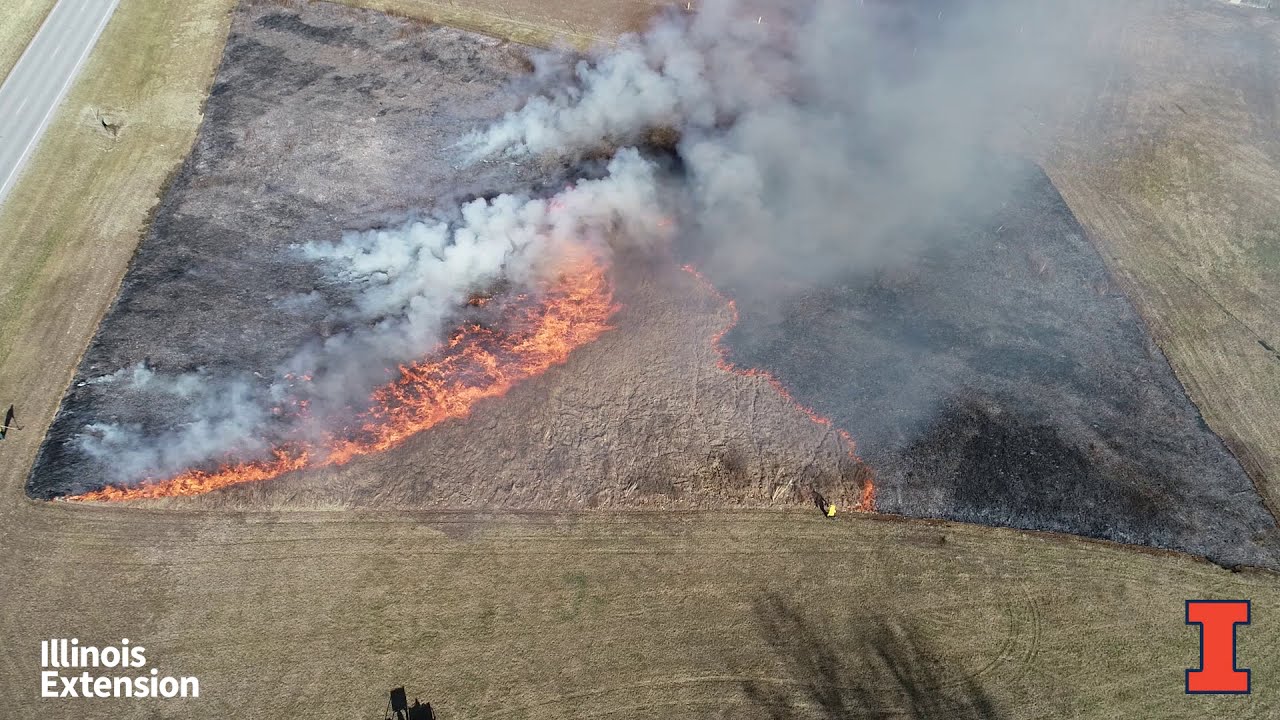 Wind's influence on fire behavior - Prescribed burning basics