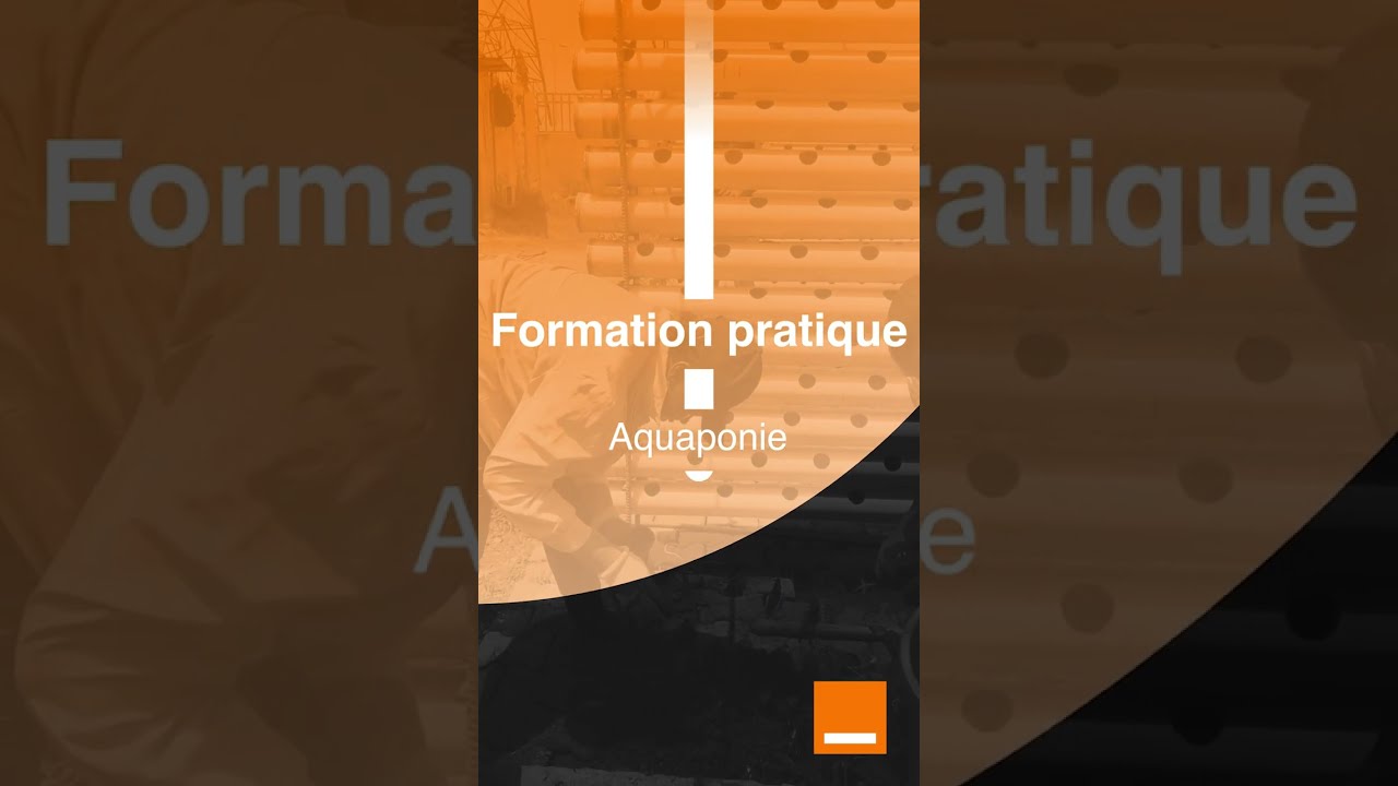 Session pratique formation en Aquaponie &agrave; saboutech