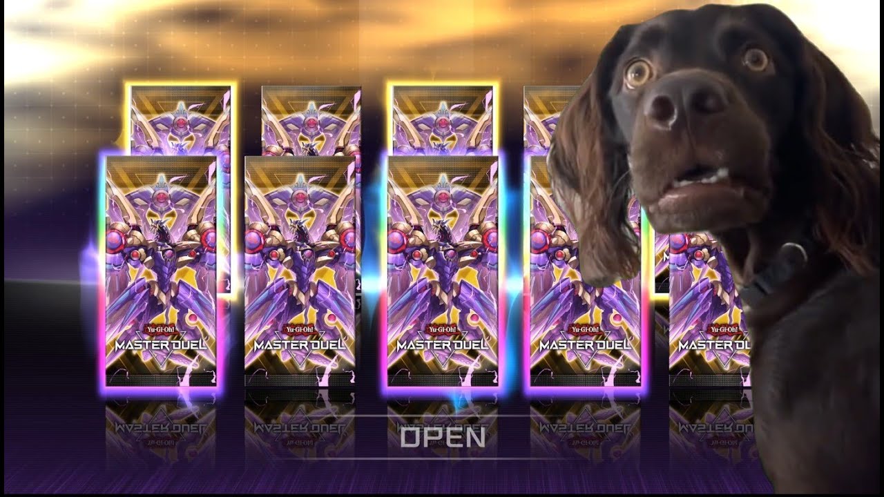 FINALLY!! A Chance To Get Good RaidRaptor Cards! E65