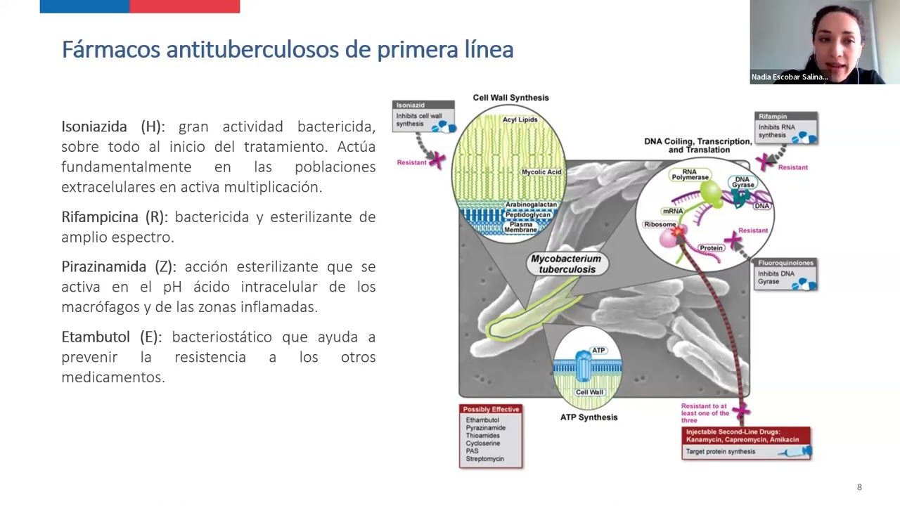 Tratamiento de la tuberculosis sensible a fármacos