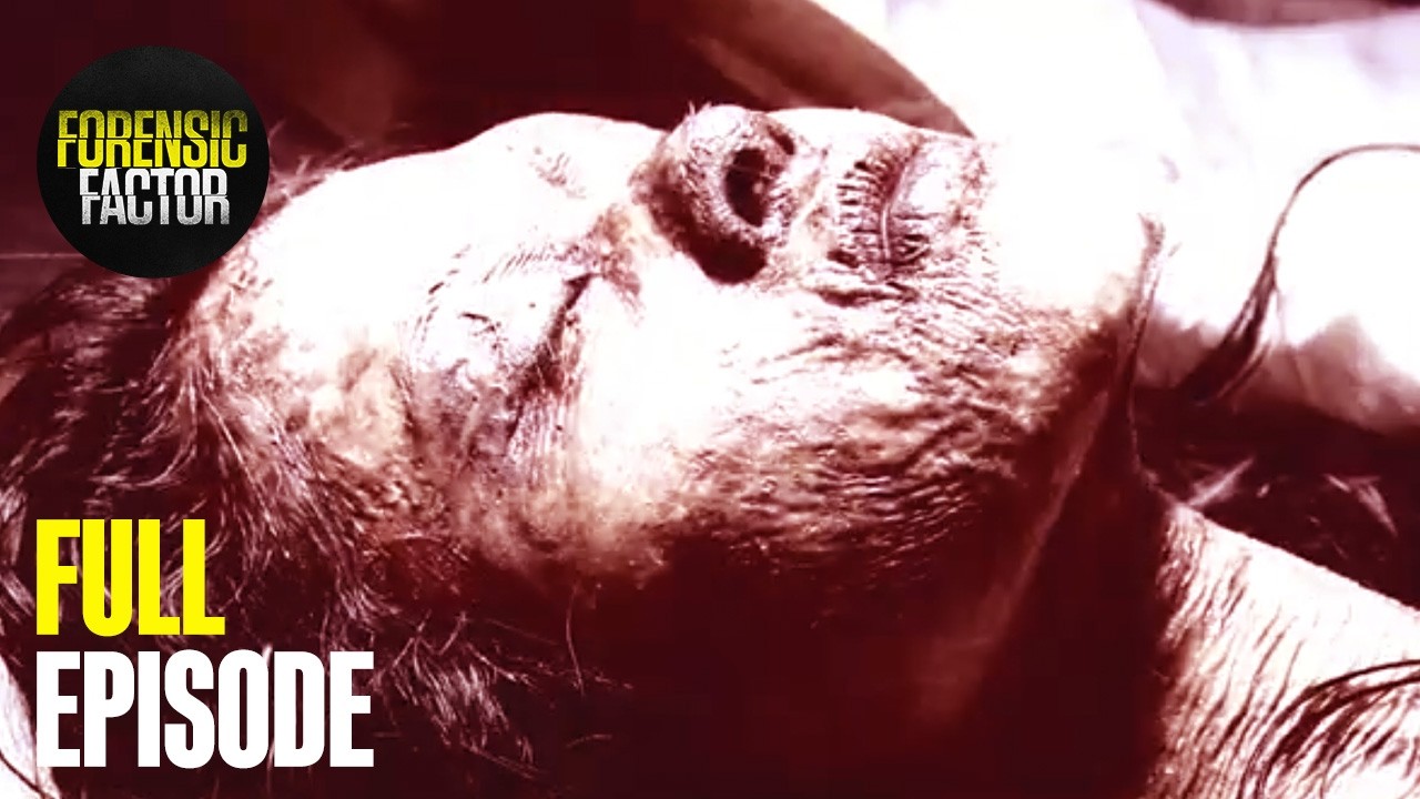 Binge Brutal True Crime Stories All Night | Season 3 Marathon (All Episodes) | Forensic Factor