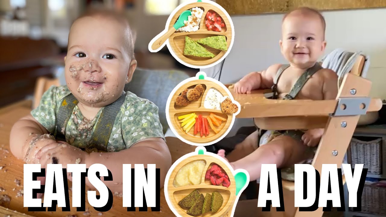 What My 7 Month Old Eats in a Day | Baby Led Weaning Real Meals & Tips ~ Postpartum Life 