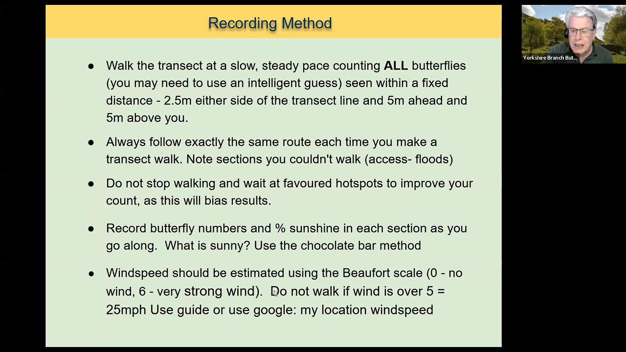 Butterfly Identification  2025