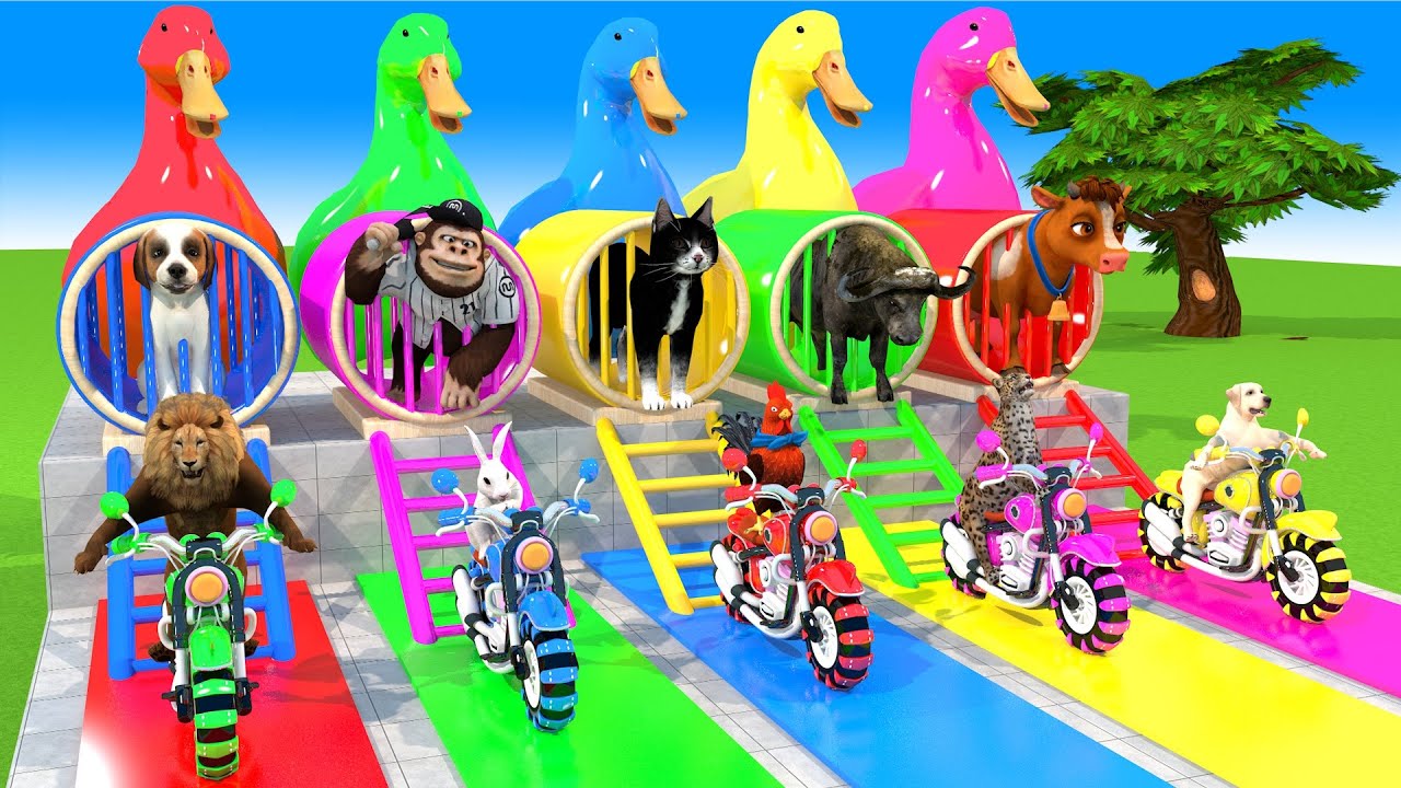 Long Slide Game With Cow Elephant Gorilla Hippopotamus Tiger 3d Animal Game Funny 3d Animals