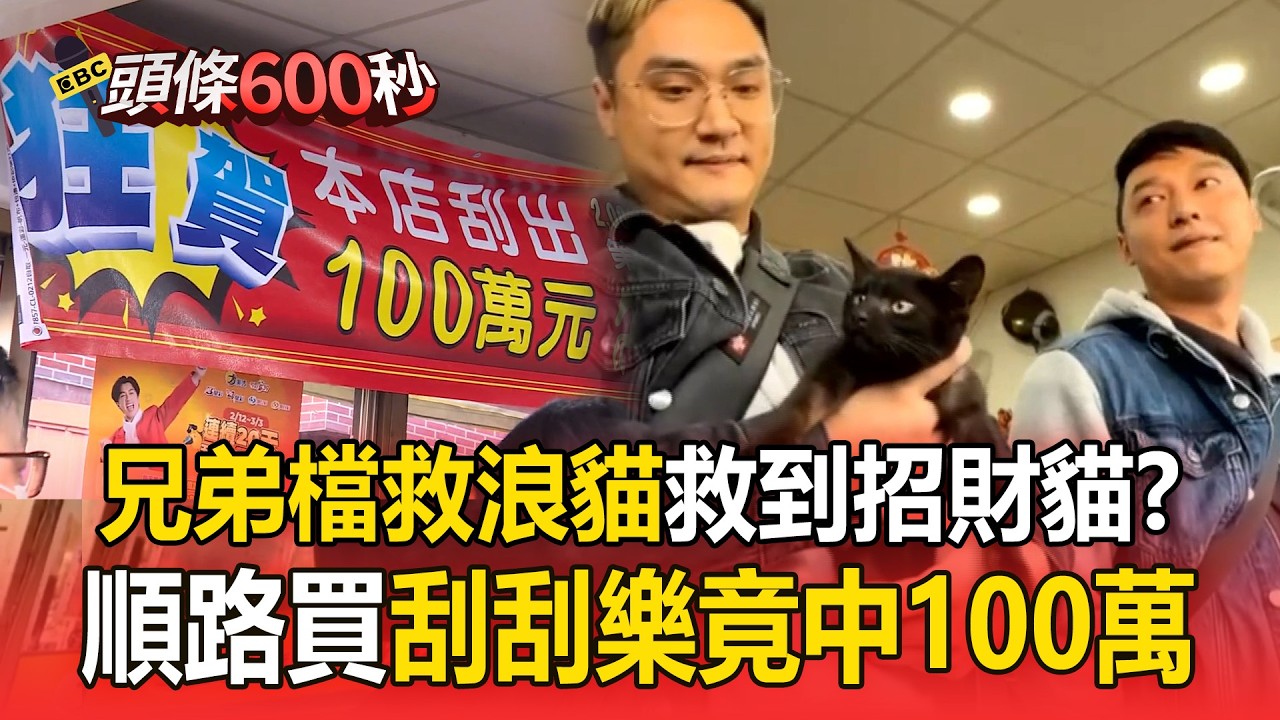 兄弟檔救浪貓救到「招財貓」？順路買刮刮樂竟中100萬【頭條600秒】