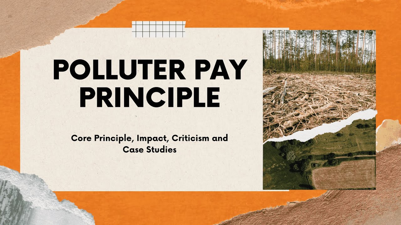 Holding Polluters Accountable: The Power of the Polluter Pays Principle