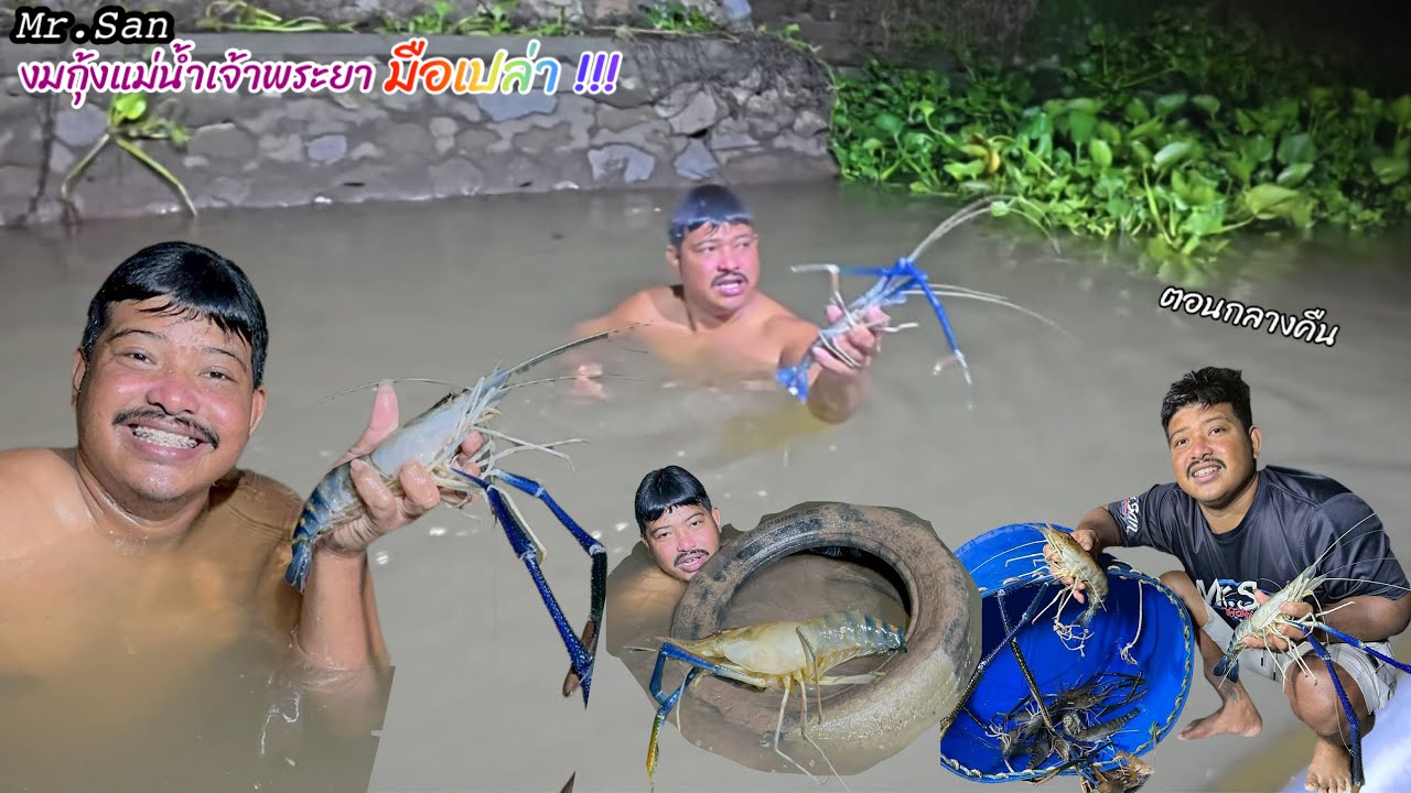 งมกุ้งแม่น้ำเจ้าพระยา มือเปล่า แถมอากาศโครตหนาว !!! #มิสเตอร์สันฟิชชิ่ง  