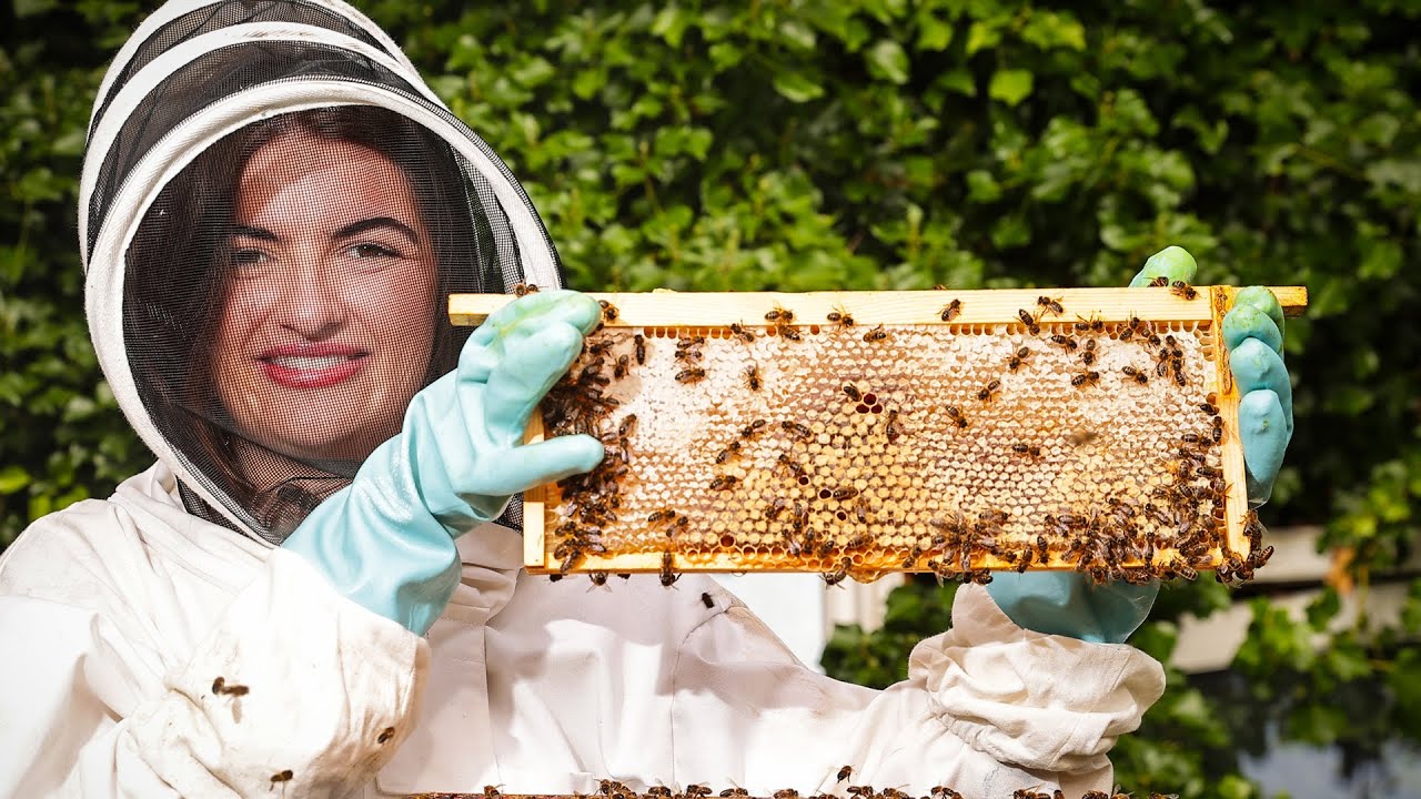 Chloë Finds a Hobby: Beekeeping